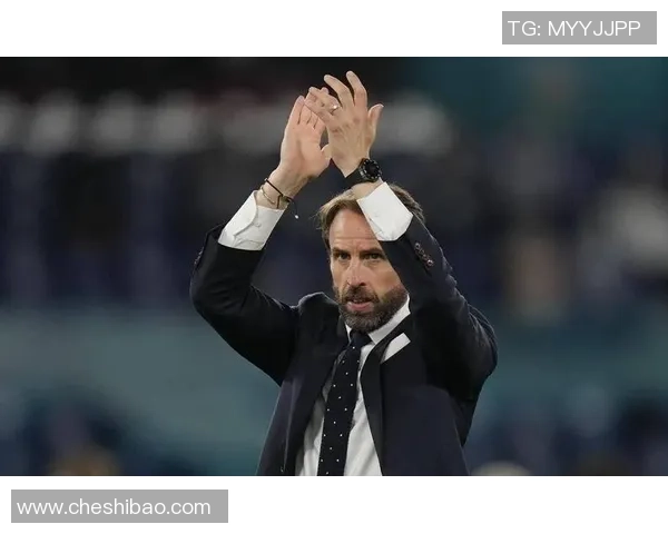 2008年英俊足球明星的魅力与成就回顾及其对足球界的影响